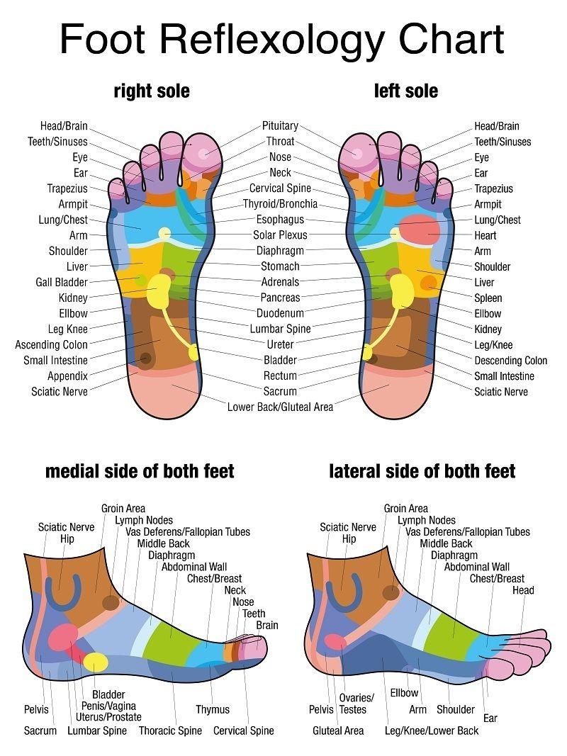 Foot Reflexology Chart 1
