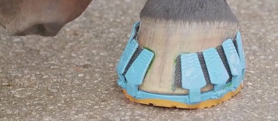 Shock-Absorbing Horseshoe Made From Plastic Which Clips On And Off