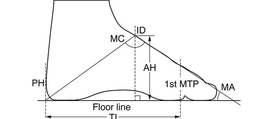 The relationship between arch height and foot length